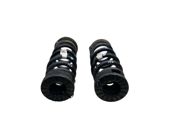 OEM Coil Spring Set for Electronically Controlled Suspension for 2019, 2020, 2021, 2022, 2023, 2024, 2025 Genesis - Rear