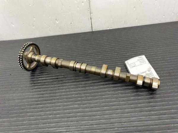 OEM Exhaust Engine Camshaft Assembly with Timing Gear for 2010, 2011, 2012, 2013, 2014, 2015, 2016, 2017, 2018 Porsche