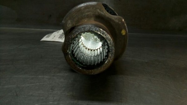 Image 5