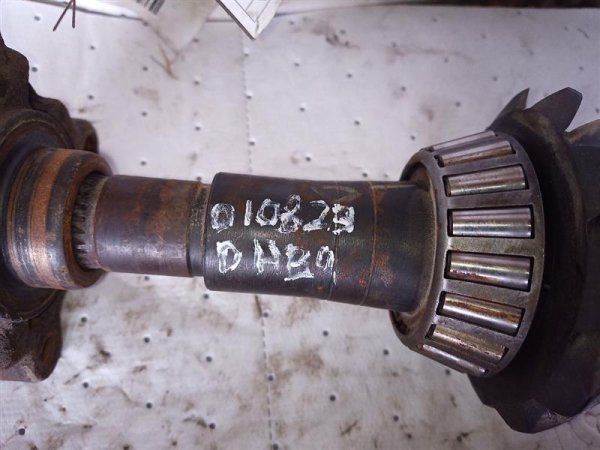 Image 3