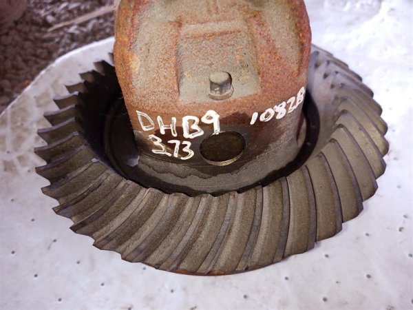 Image 7