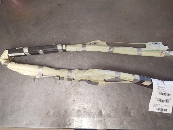 2010, 2011, 2012, 2013 Ford Taurus Gray Roof Curtain Air Bag Module - Right (Passenger) (OEM)
