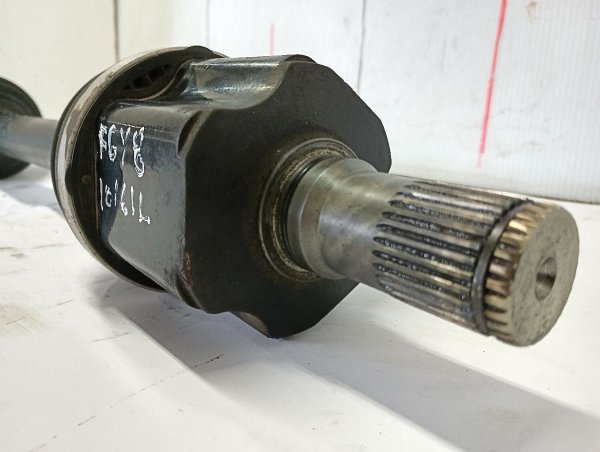 Image 4