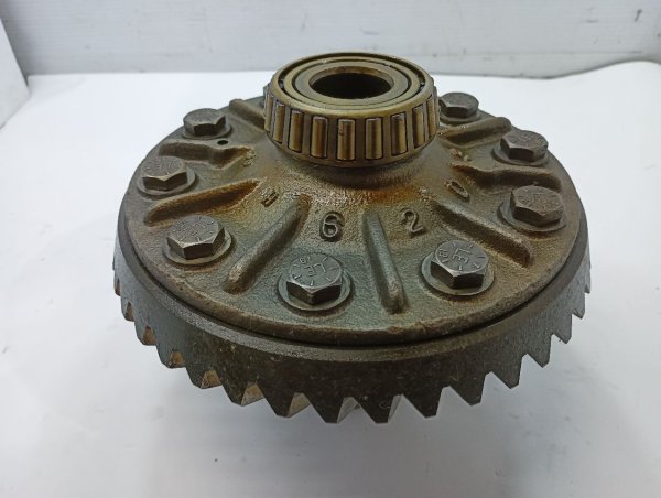 Image 4
