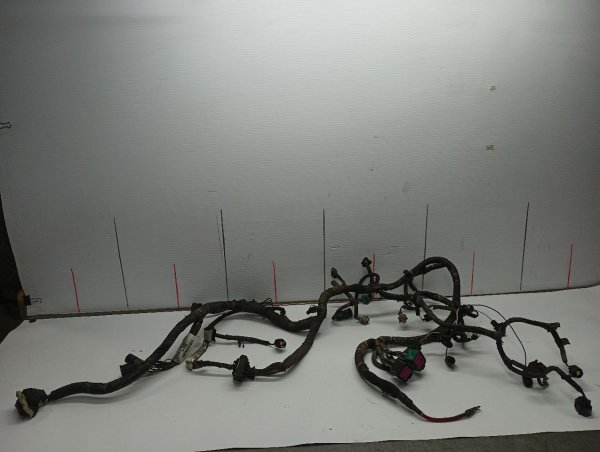 2004 Ford Excursion Fuel Injector Wiring Harness (OEM)