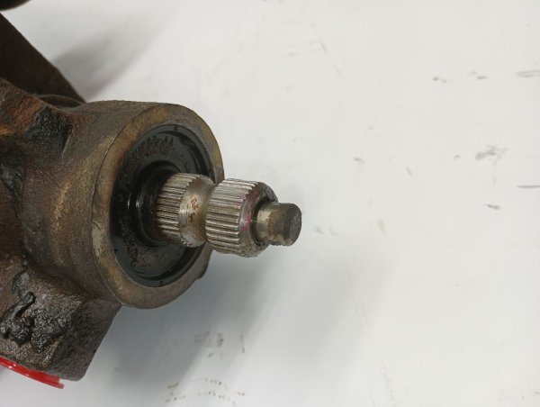 Image 8