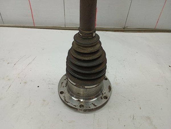 Image 6