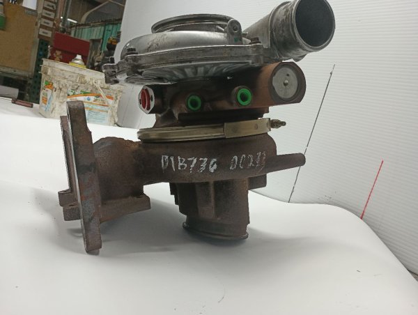 Image 8