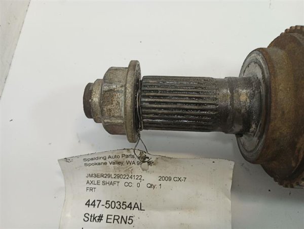 Image 5