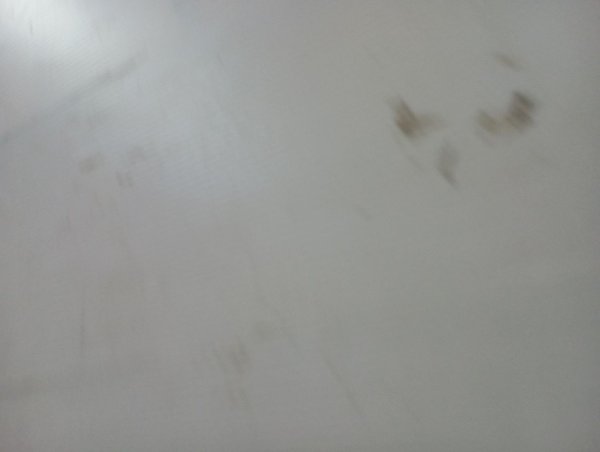 Image 25