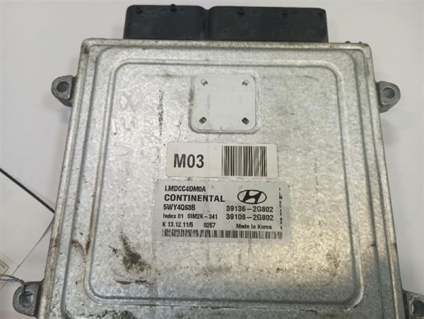 Image 5